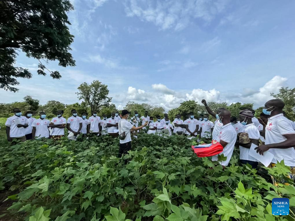 Feature: Chinese technology boosts cotton production in Benin