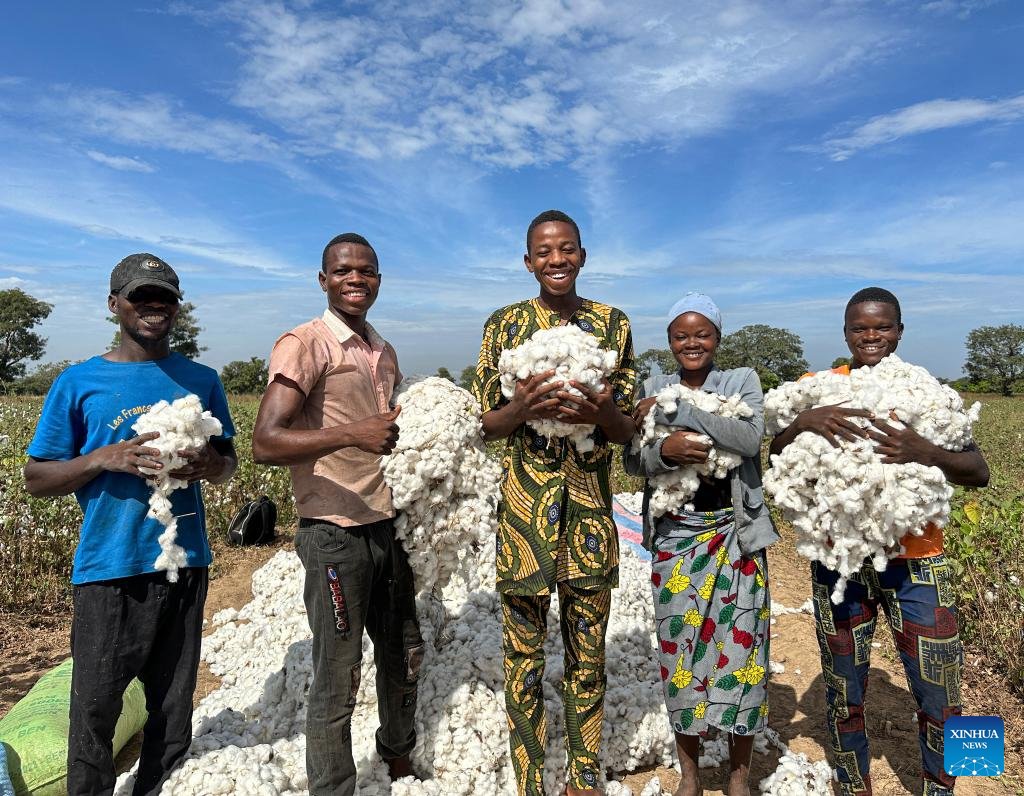 Feature: Chinese technology boosts cotton production in Benin