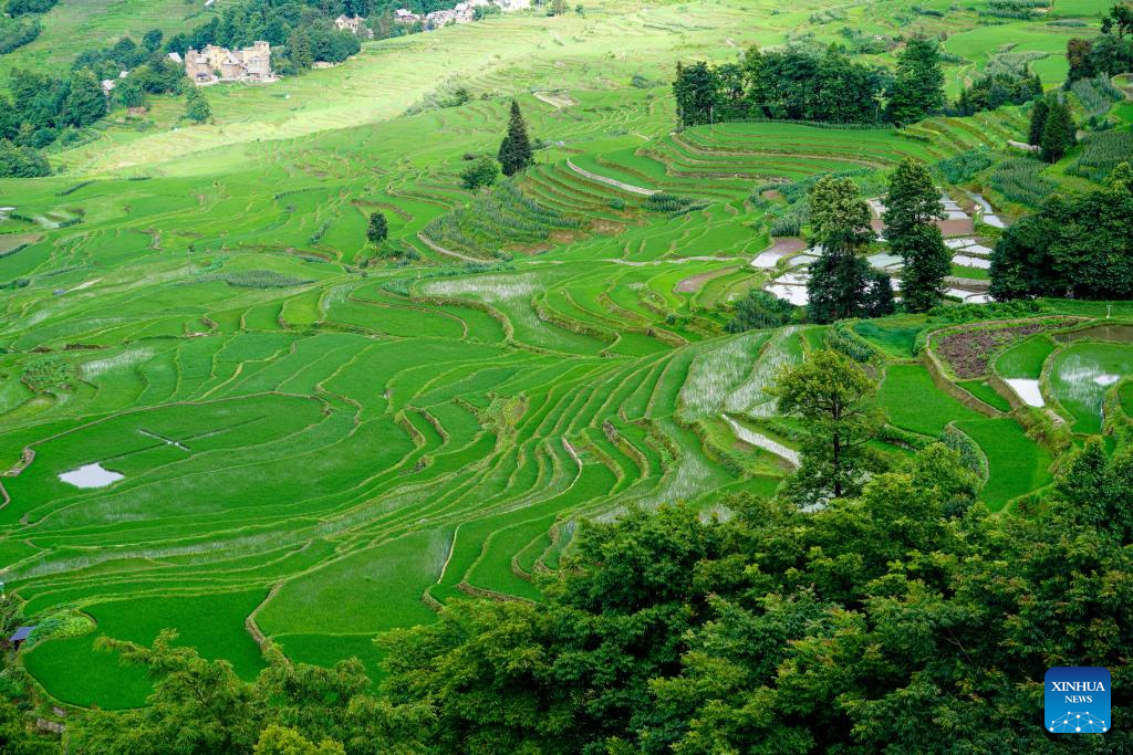 View of Hani terraced fields in Yunnan