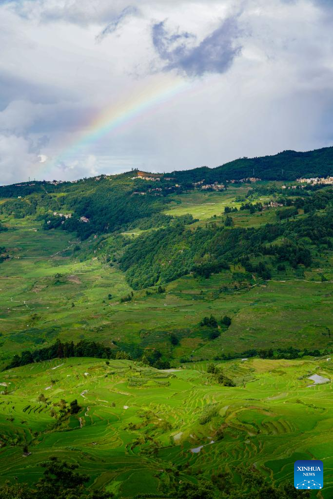 View of Hani terraced fields in Yunnan