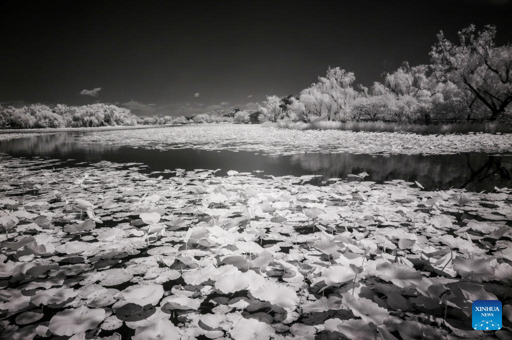 Infrared view of Summer Palace in Beijing