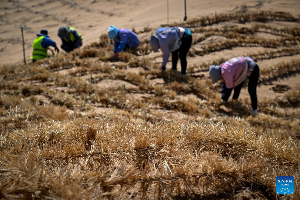 Innovative tool and technology contribute to sand control in NW China