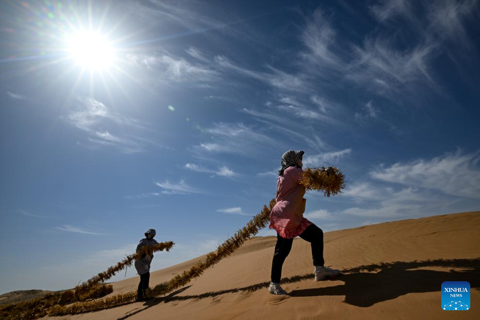 Innovative tool and technology contribute to sand control in NW China