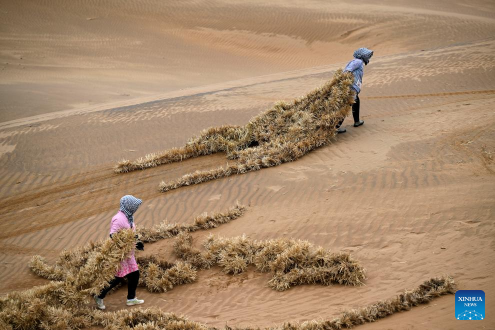 Innovative tool and technology contribute to sand control in NW China