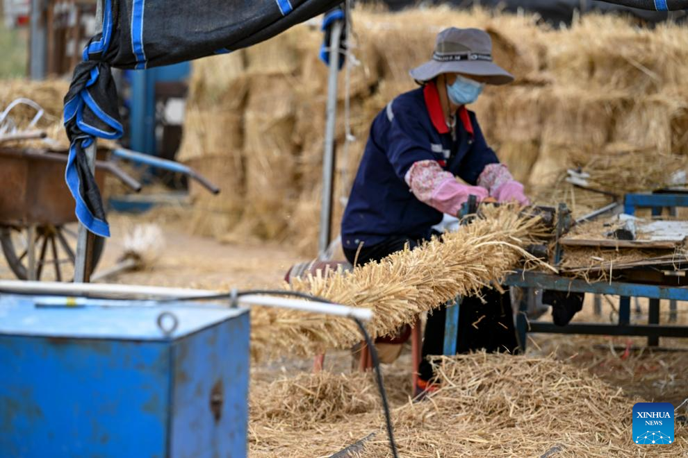 Innovative tool and technology contribute to sand control in NW China