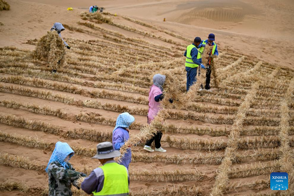 Innovative tool and technology contribute to sand control in NW China