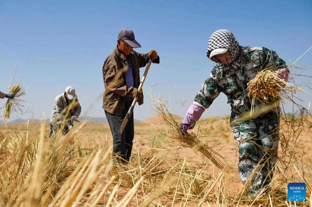 Innovative tool and technology contribute to sand control in NW China