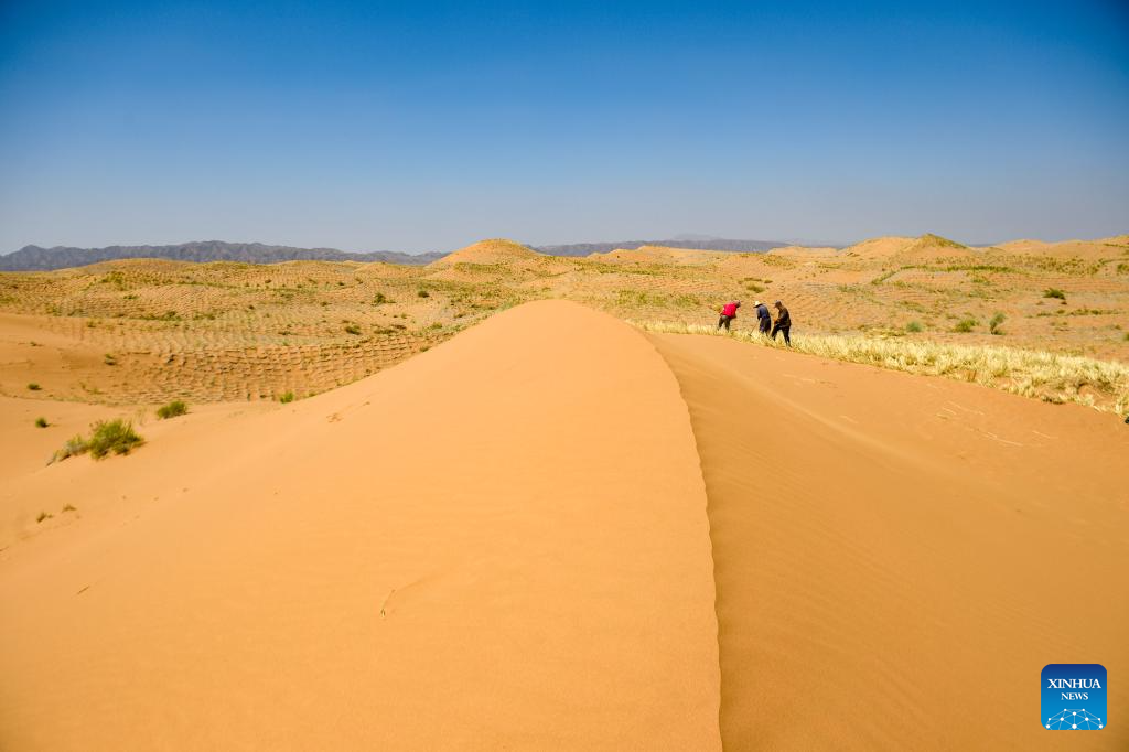 Innovative tool and technology contribute to sand control in NW China