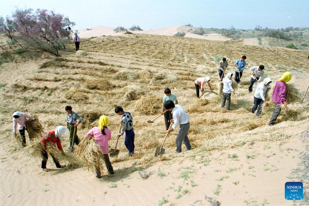 Innovative tool and technology contribute to sand control in NW China