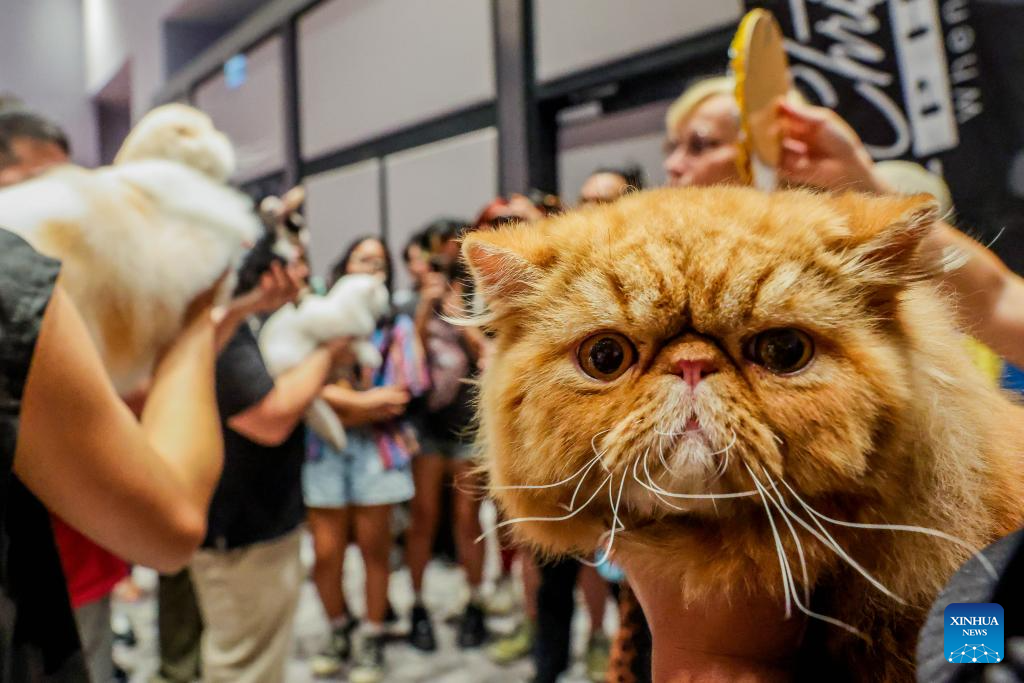 In pics: WCF Philippines World Cat Show 2024