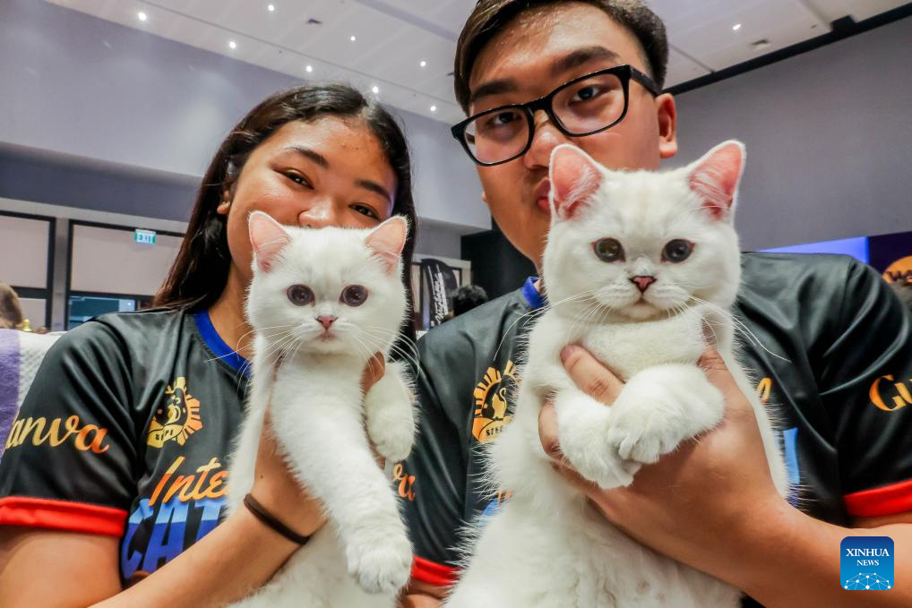 In pics: WCF Philippines World Cat Show 2024