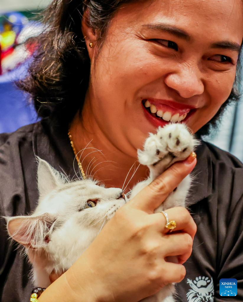 In pics: WCF Philippines World Cat Show 2024