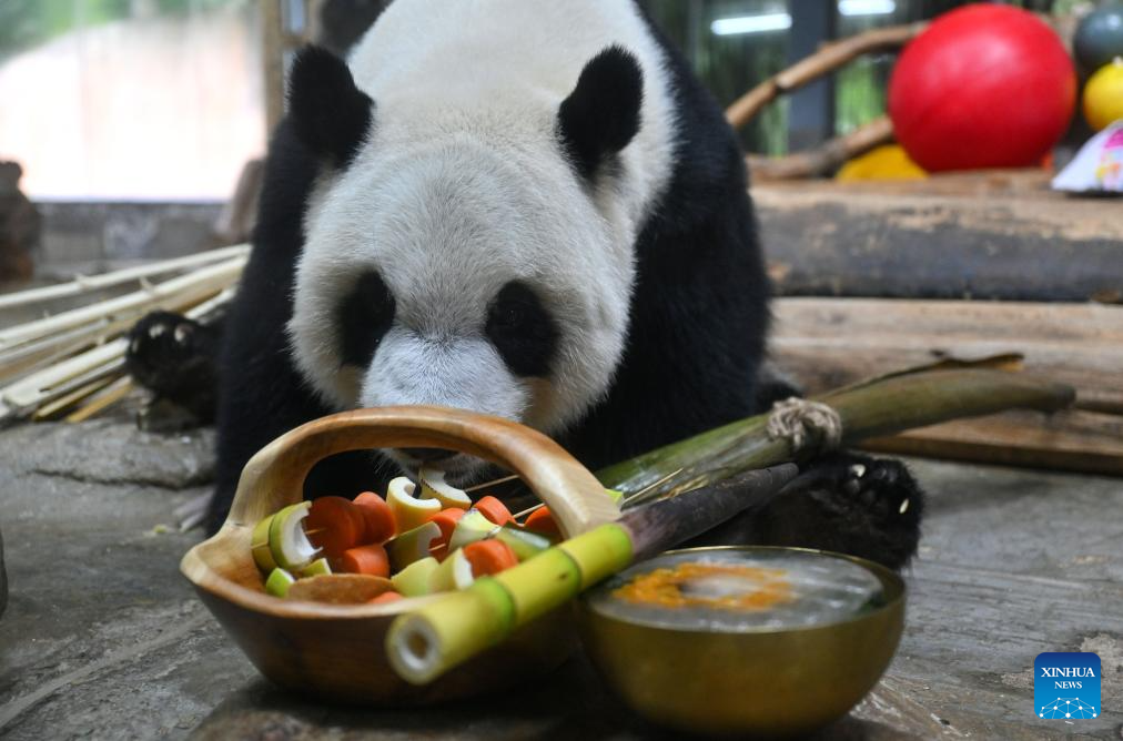 Animals stay cool as heat waves hit Hainan