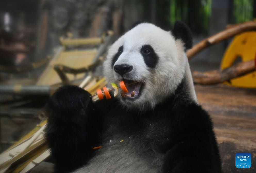 Animals stay cool as heat waves hit Hainan