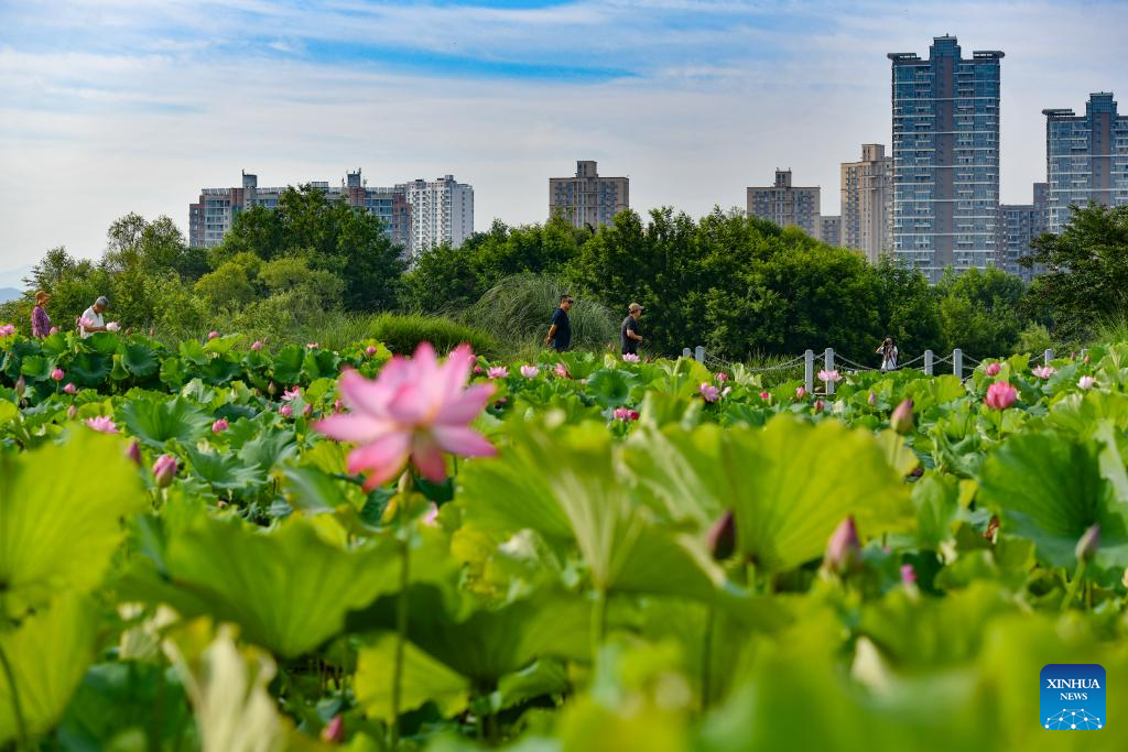 China's Hanzhong strengthens ecological protection of Hanjiang River's source, wetlands