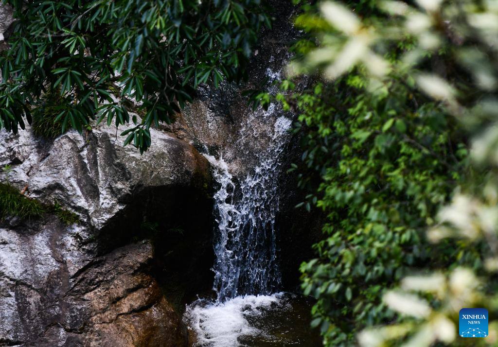 China's Hanzhong strengthens ecological protection of Hanjiang River's source, wetlands