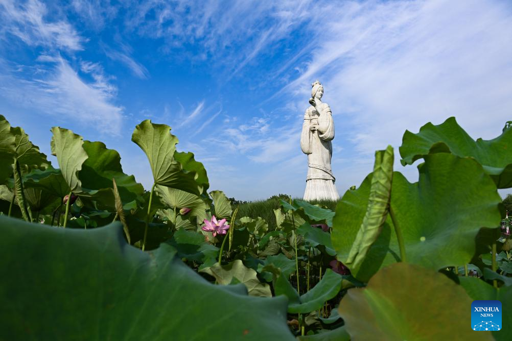 China's Hanzhong strengthens ecological protection of Hanjiang River's source, wetlands