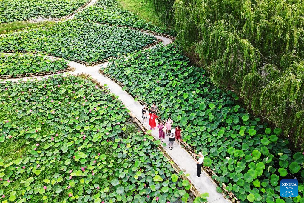 People enjoy lotus flowers in Rugao City, China's Jiangsu