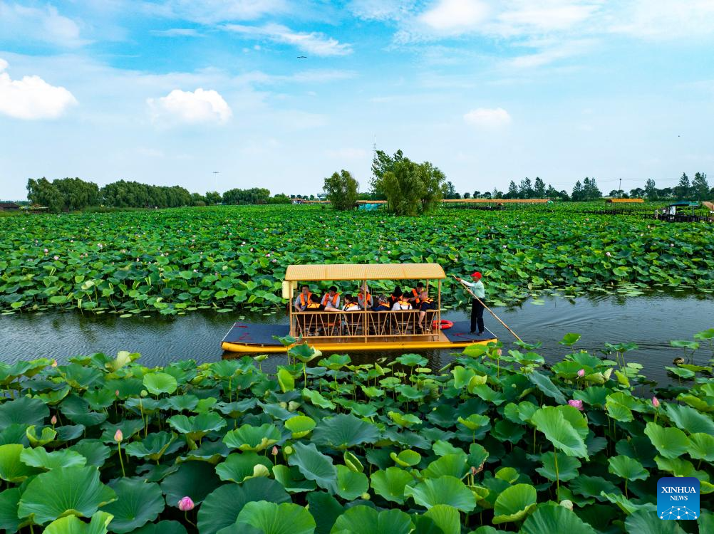 People enjoy lotus flowers in Rugao City, China's Jiangsu