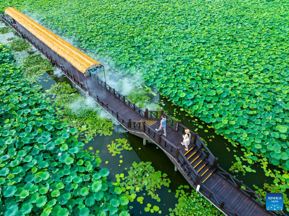 People enjoy lotus flowers in Rugao City, China's Jiangsu