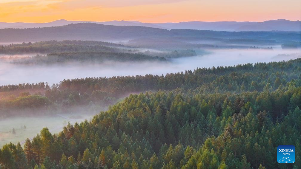 Scenery of Saihanba National Forest Park in Chengde, N China