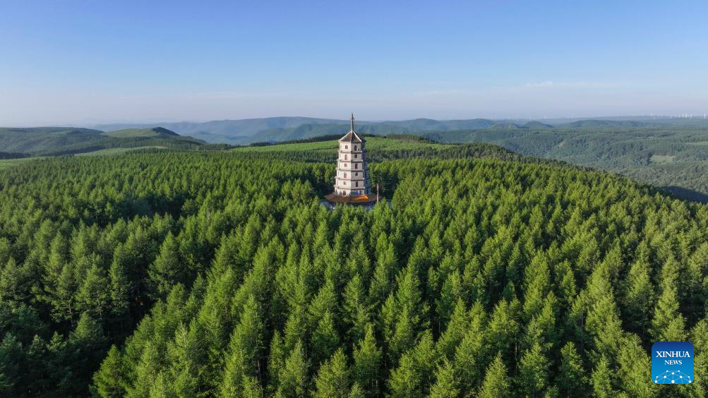 Scenery of Saihanba National Forest Park in Chengde, N China