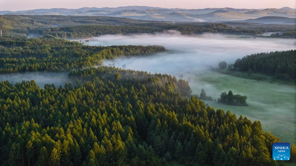 Scenery of Saihanba National Forest Park in Chengde, N China