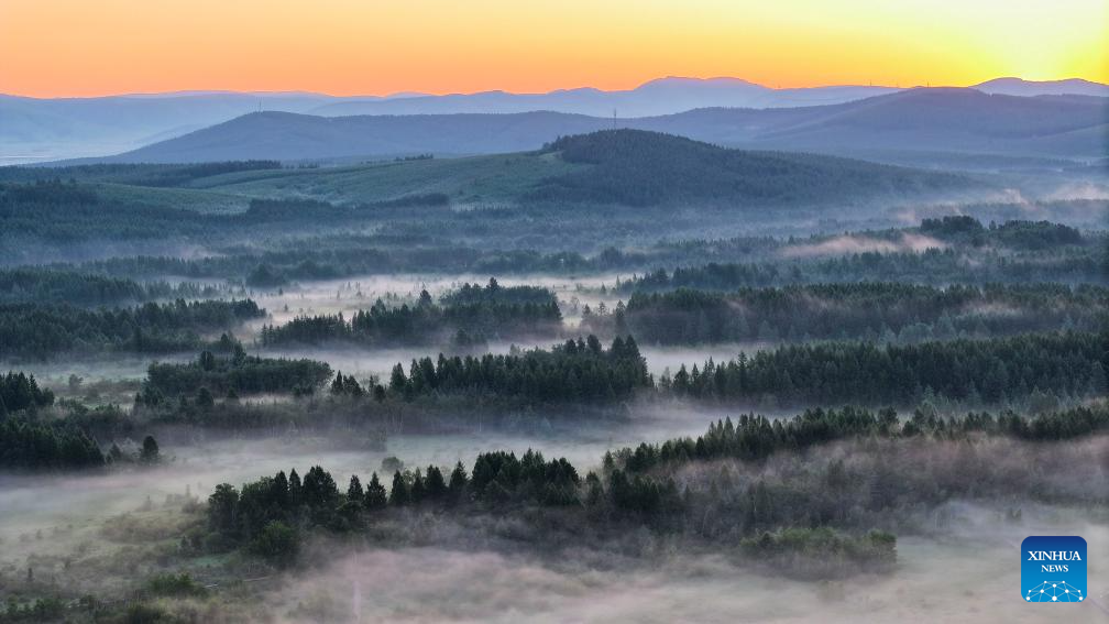 Scenery of Saihanba National Forest Park in Chengde, N China