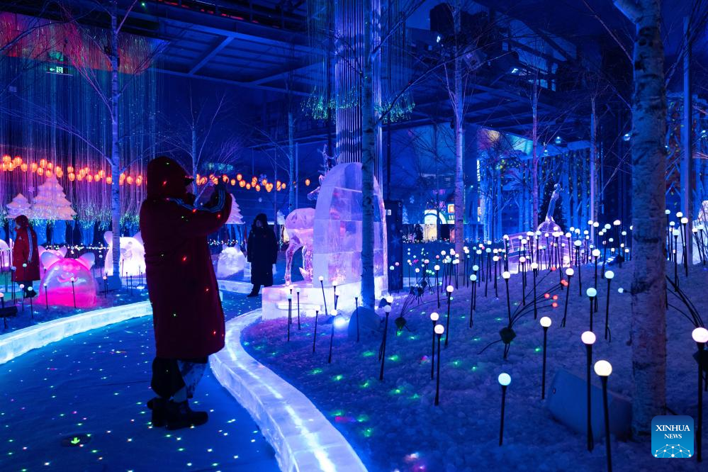 World's largest indoor ice, snow theme park opens in China's Harbin