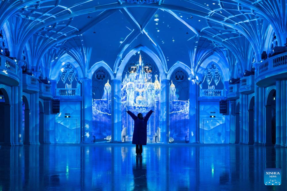 World's largest indoor ice, snow theme park opens in China's Harbin