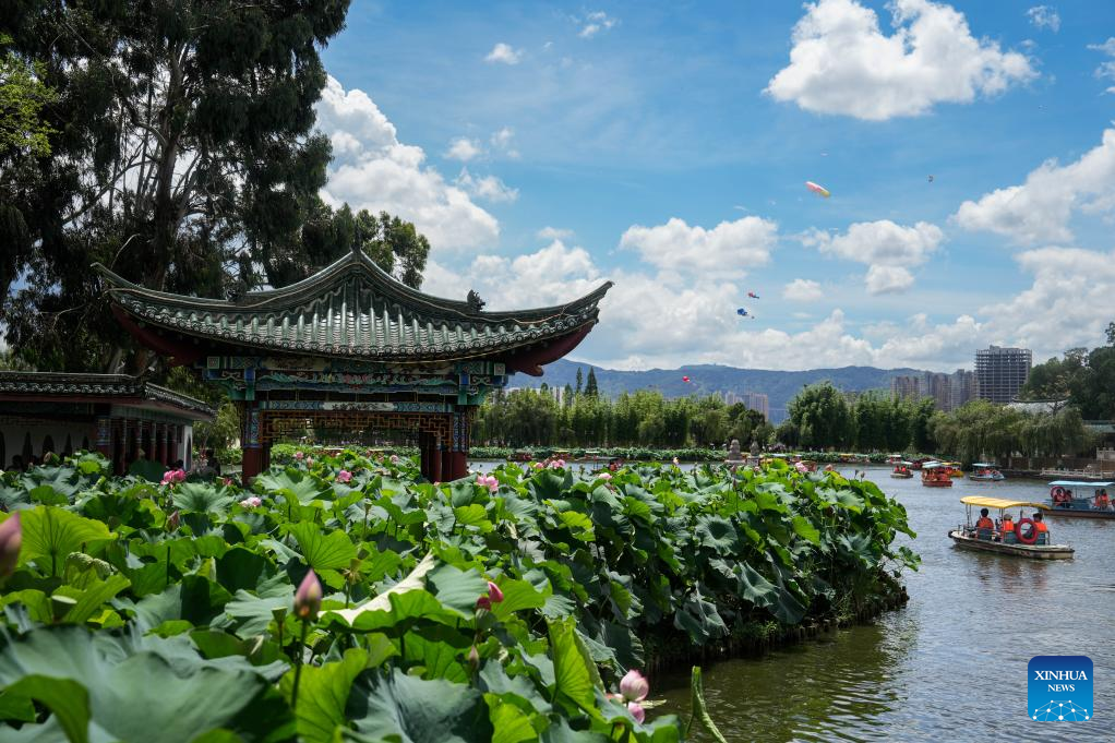 Visitors enjoy lotus flowers at Daguan Park in Kunming