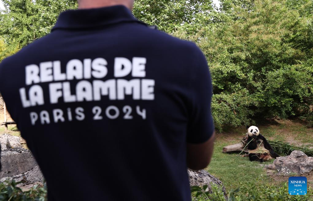 Giant panda seen before torch relay of Paris 2024 at Beauval Zoo