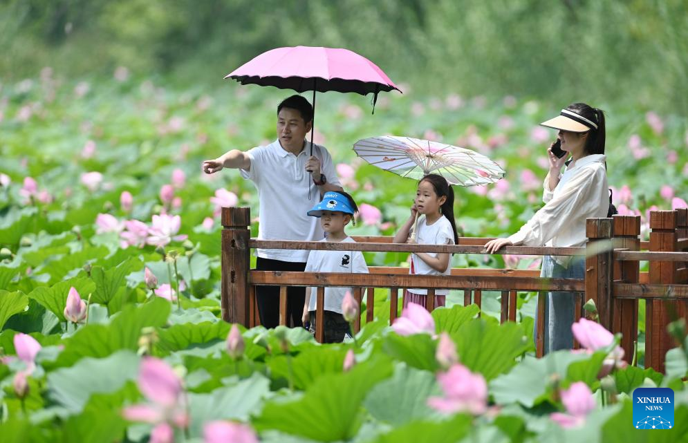 Tourist destinations across China see surge in visitors during peak summer tourist season