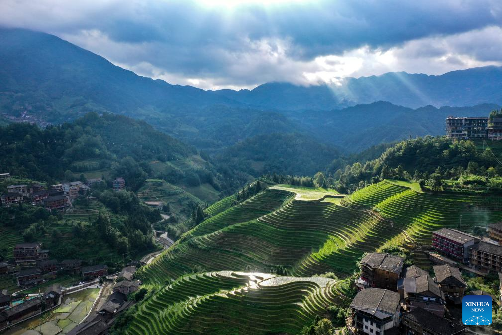 Homestay service burgeons at Dazhai Village in S China