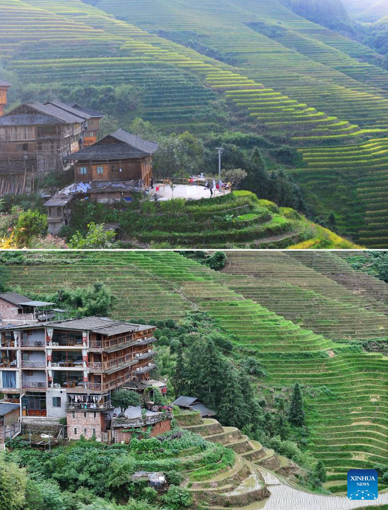 Homestay service burgeons at Dazhai Village in S China