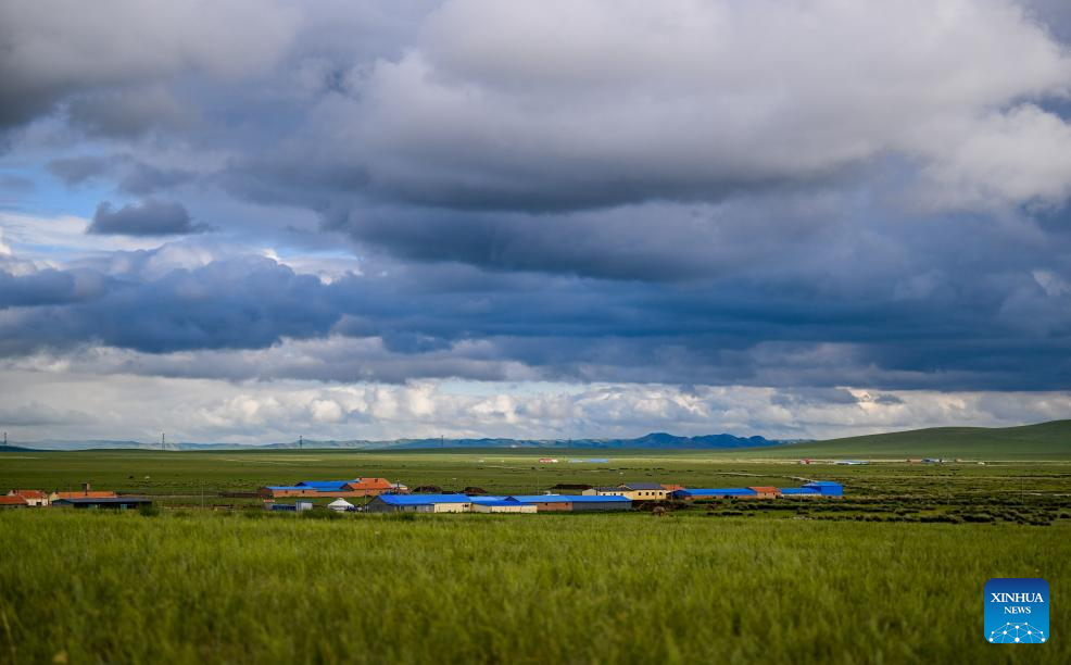 Scenery of grassland in north China's Inner Mongolia