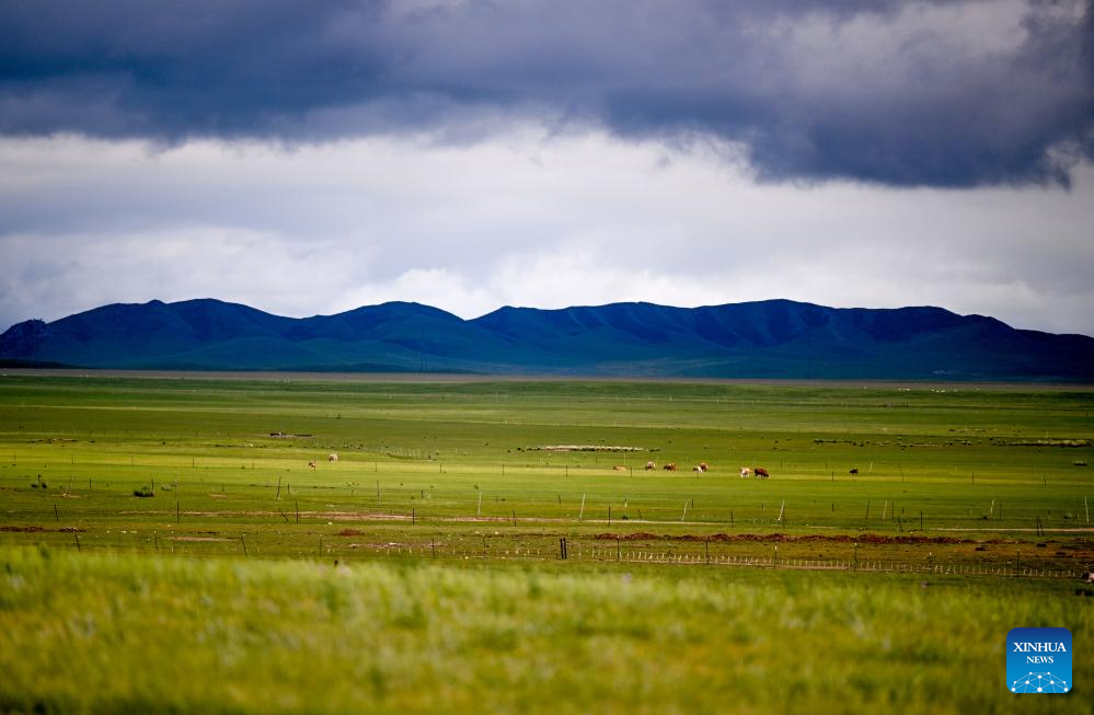 Scenery of grassland in north China's Inner Mongolia