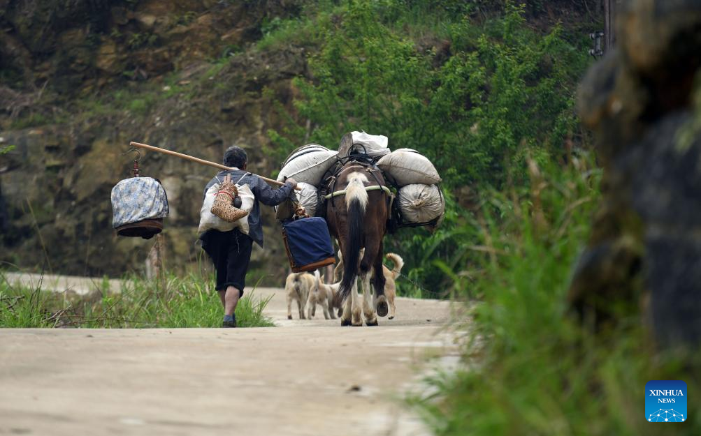 Miao ethnic group hamlet in China promotes rural vitalization for further development