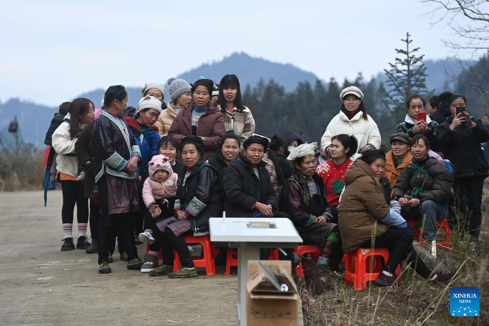 Miao ethnic group hamlet in China promotes rural vitalization for further development