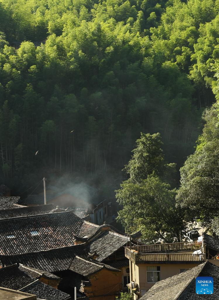 Village in E China makes efforts to attract young talents to start businesses