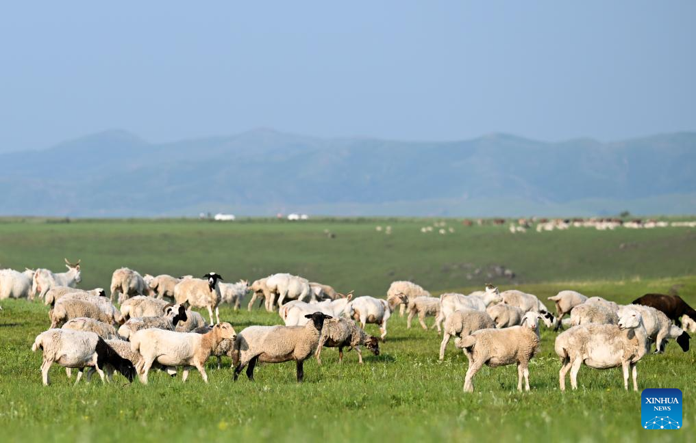 Scenery of Ulan Mod grassland in Inner Mongolia