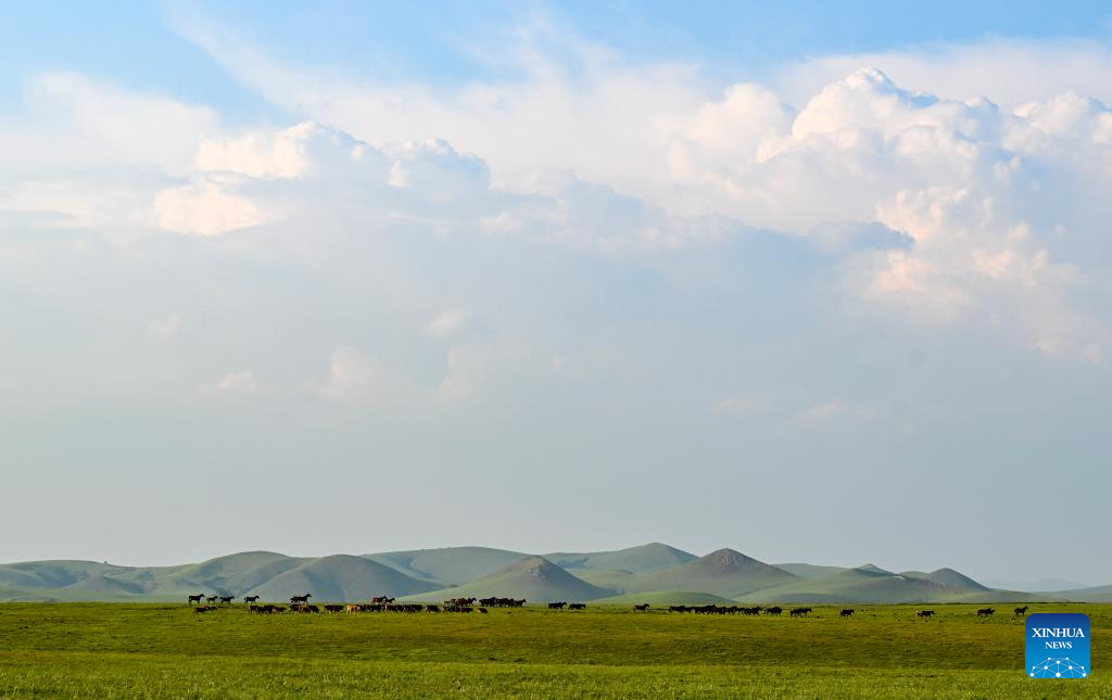 Scenery of Ulan Mod grassland in Inner Mongolia