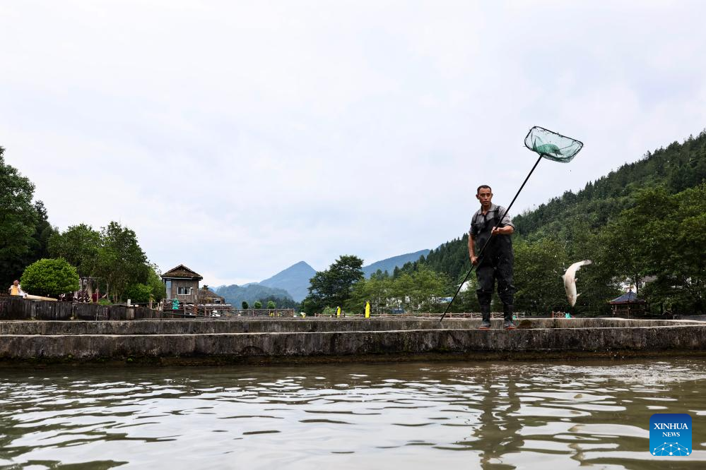 Quyang Village develops cold-water fish breeding in Chongqing