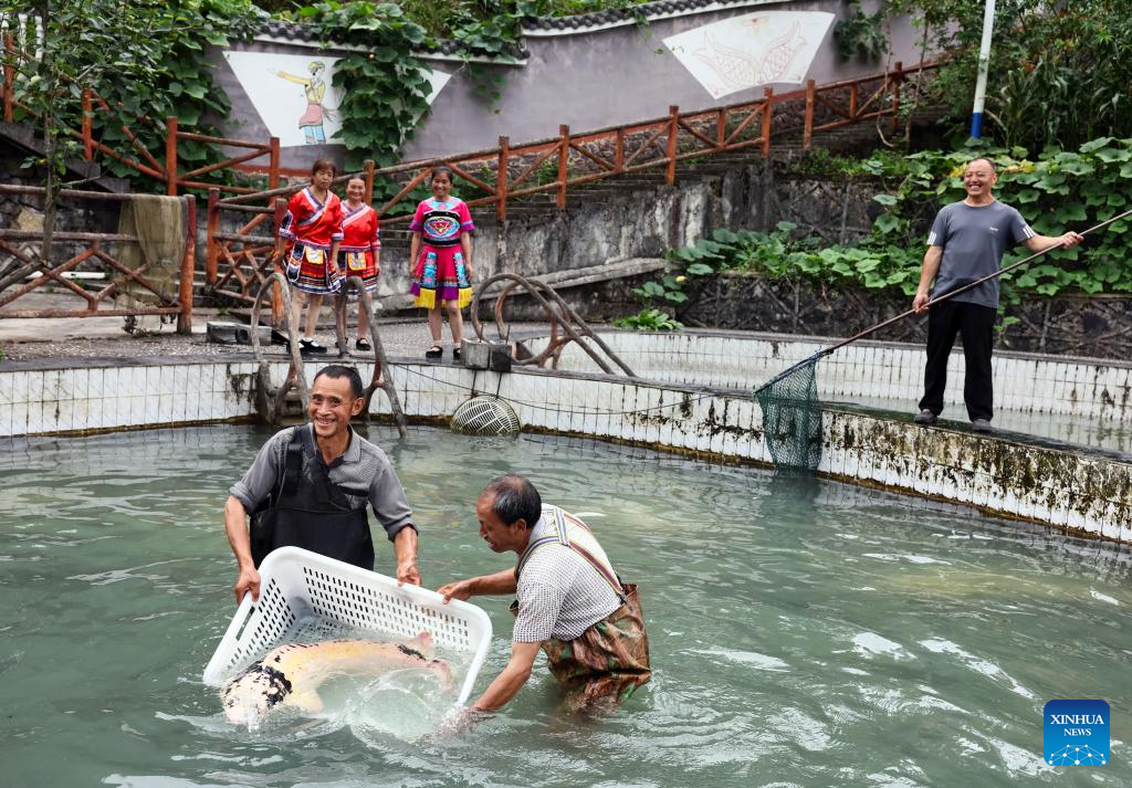 Quyang Village develops cold-water fish breeding in Chongqing