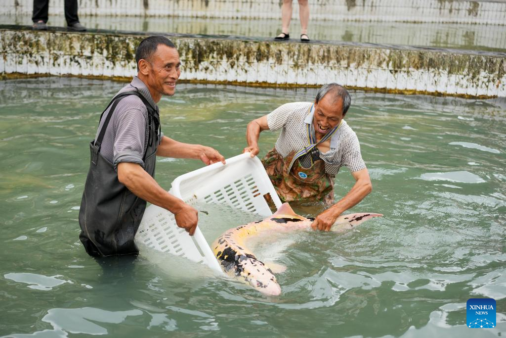 Quyang Village develops cold-water fish breeding in Chongqing