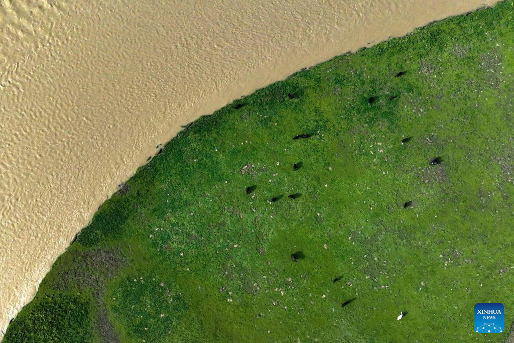 Scenery of Yellow River in Dari County, NW China