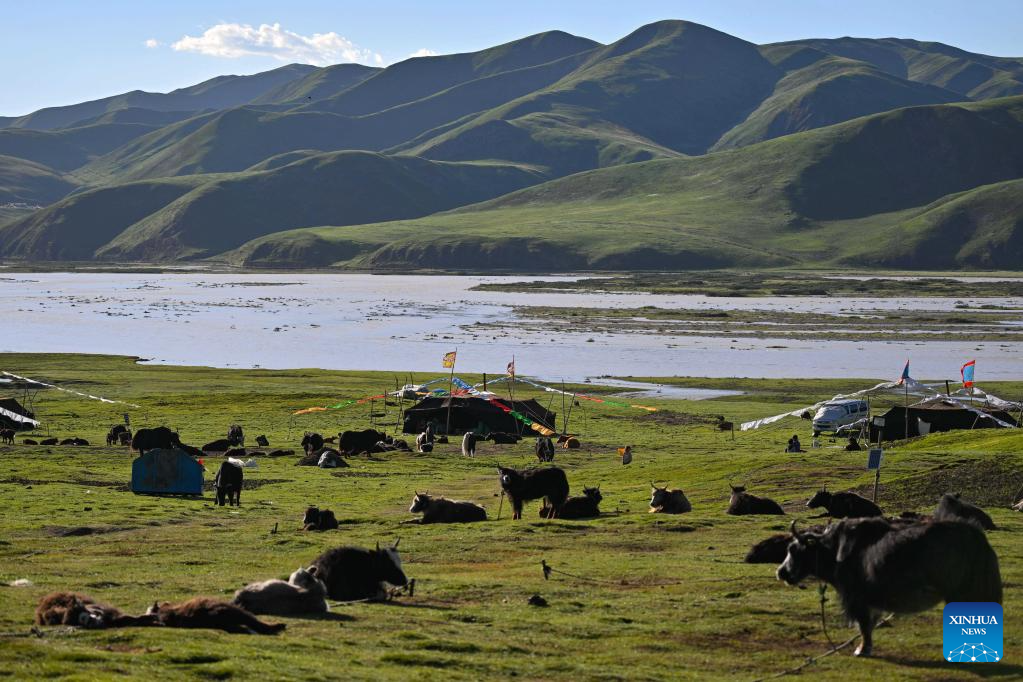 Scenery of Yellow River in Dari County, NW China