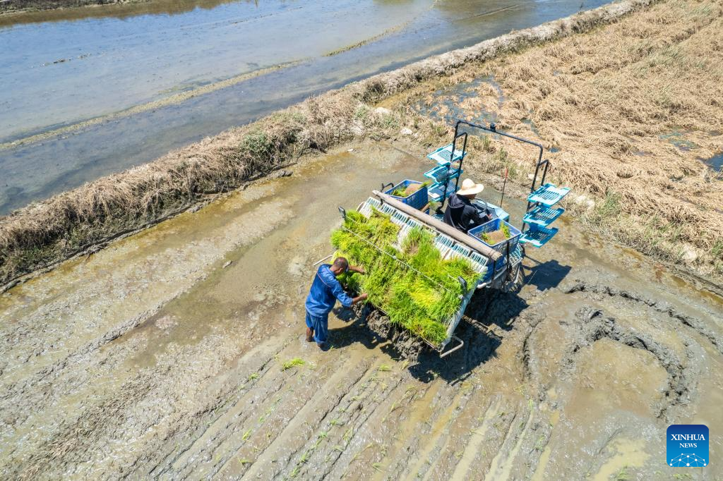 Farmers begin rice transplanting after dike breaches sealed in C China