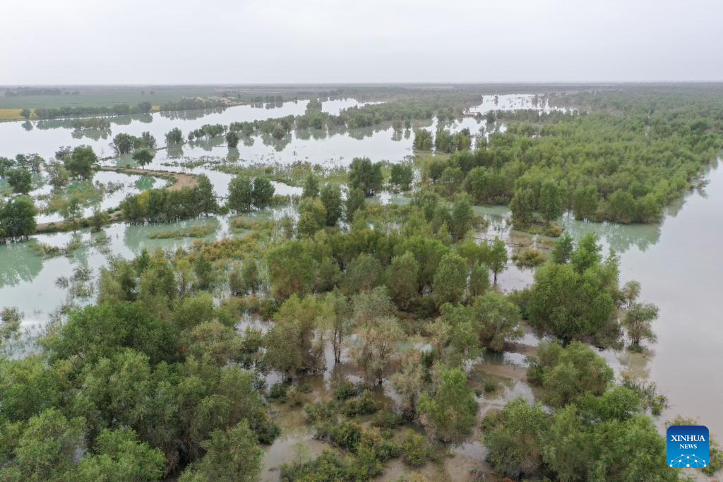 NW China's Xinjiang mobilizes emergency responding teams for flood control amid water level alert