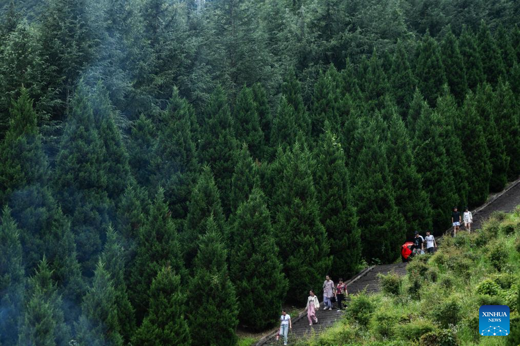 Tourism booms in Shennongjia Forest District, C China's Hubei